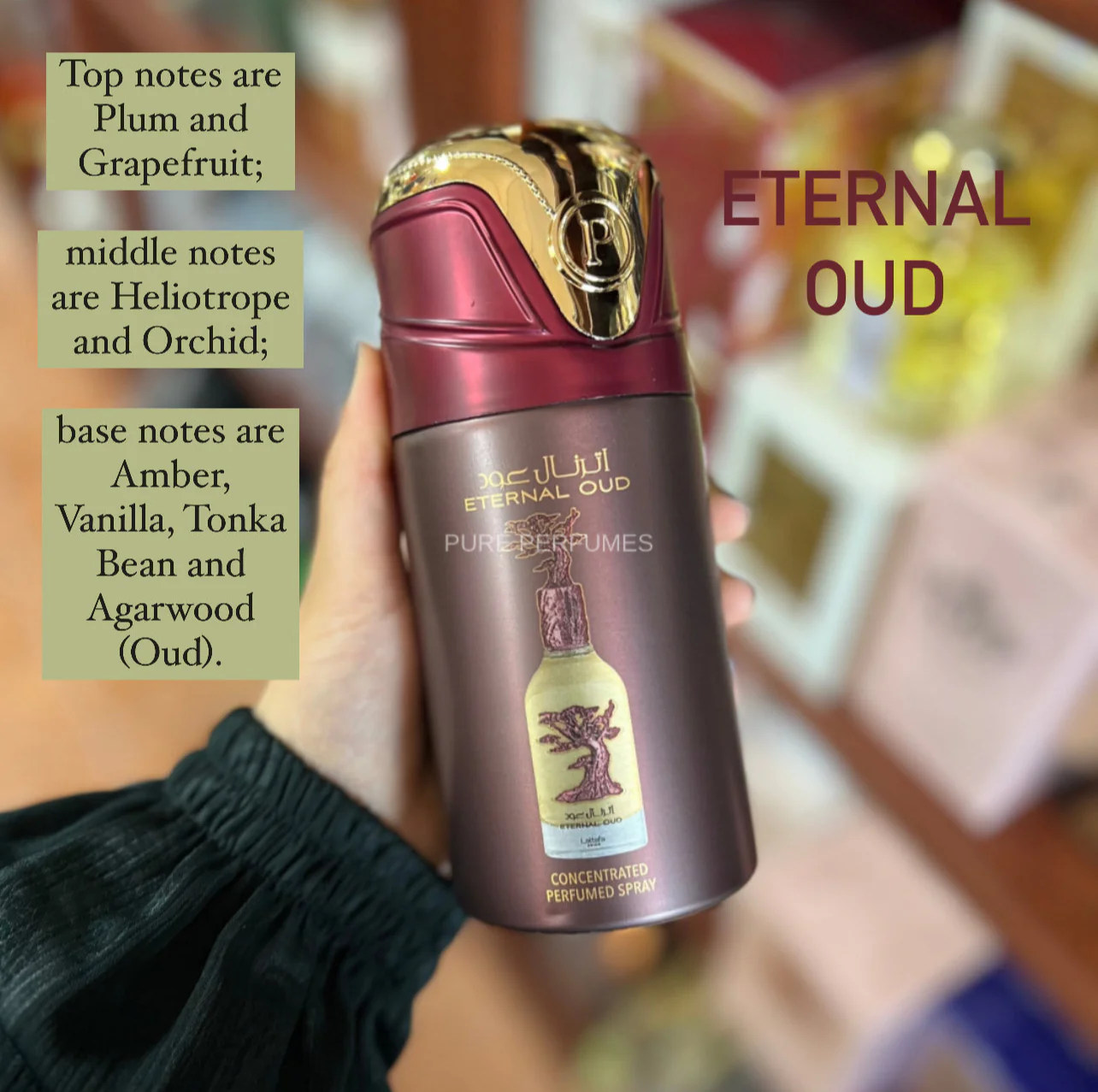 Lattafa Eternal Oud Perfume Spray – 250ml | Luxurious Oud Fragrance - Image 3