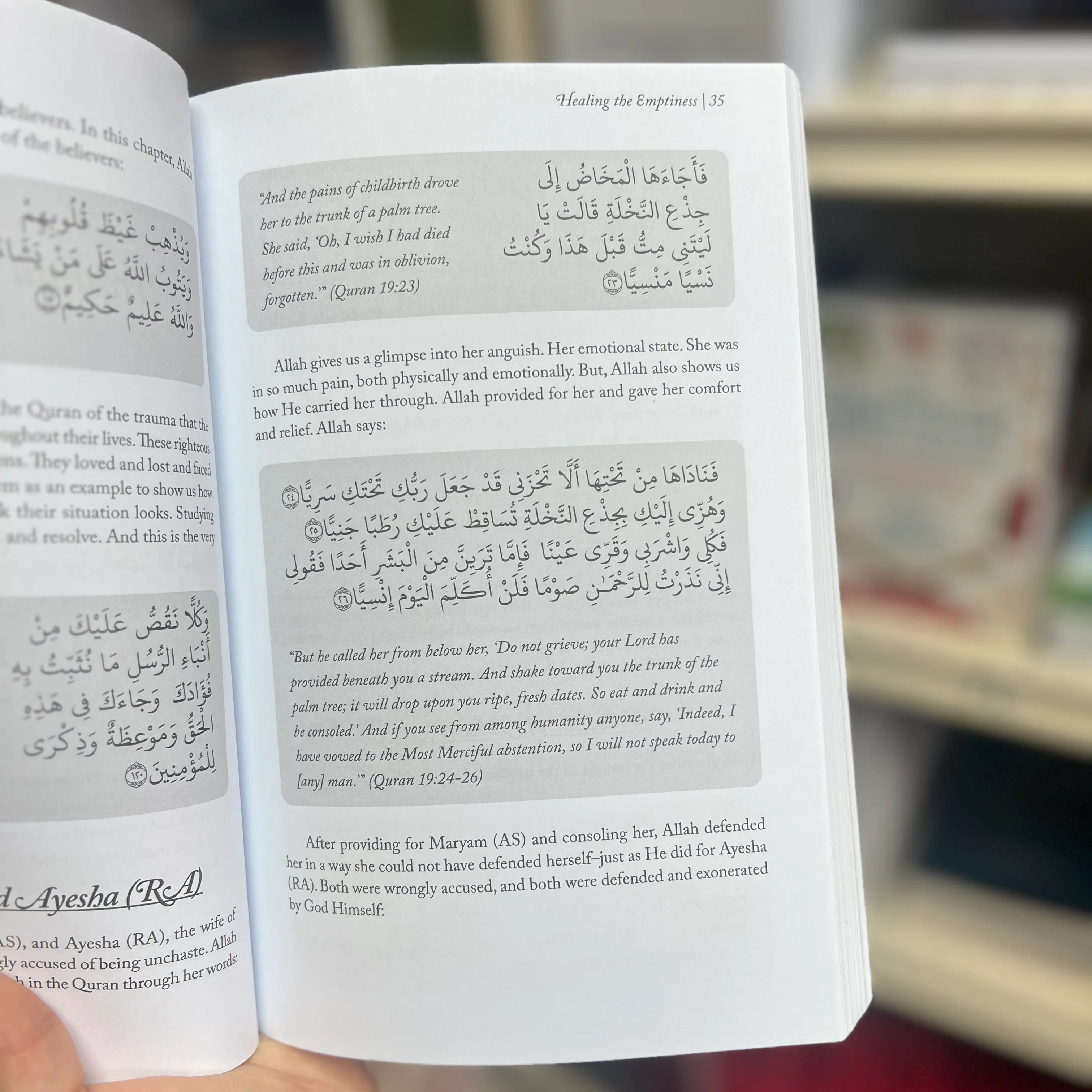 Healing the Emptiness - A Guide to Emotional and Spiritual Well-Being by Yasmin Mogahed - Image 5