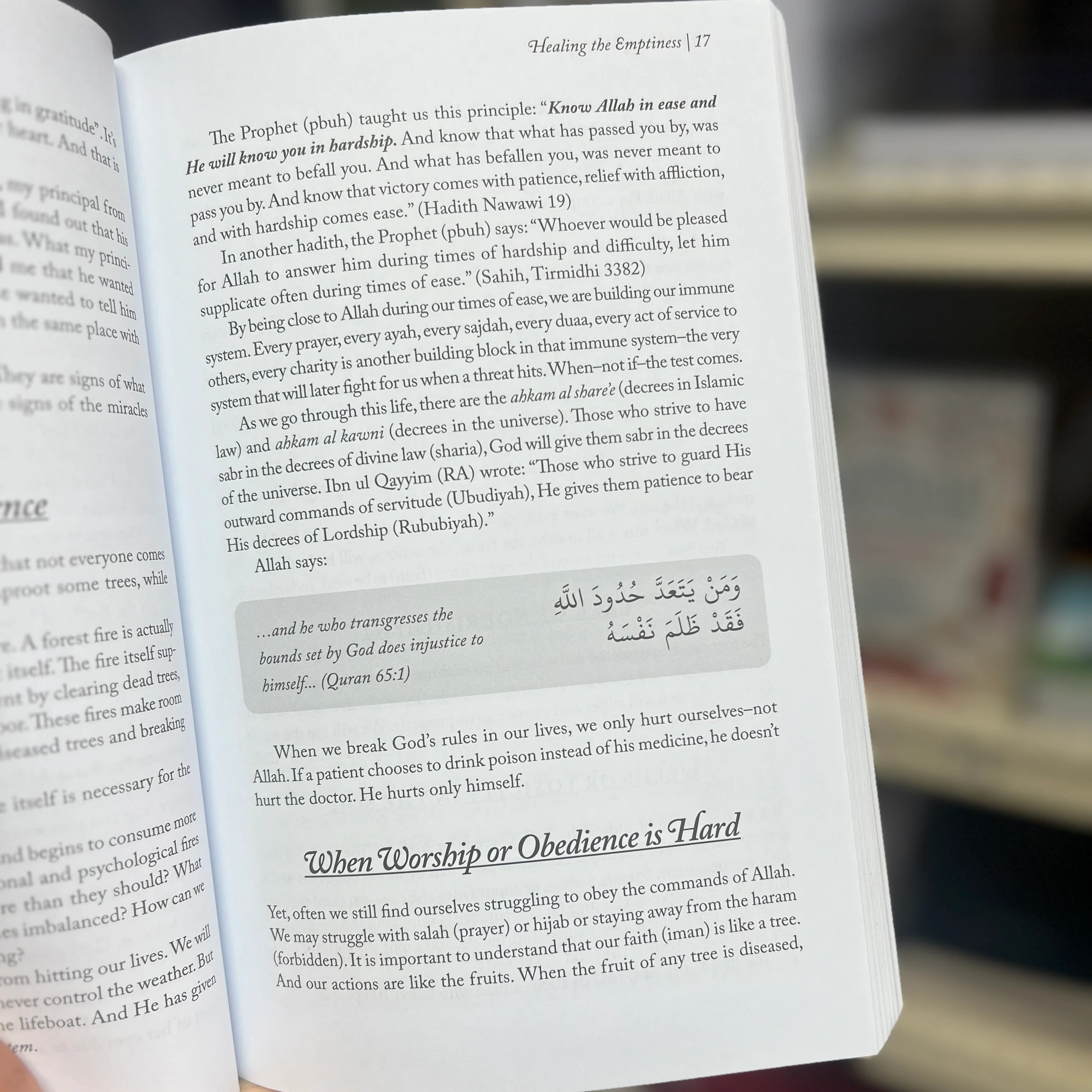 Healing the Emptiness - A Guide to Emotional and Spiritual Well-Being by Yasmin Mogahed - Image 6