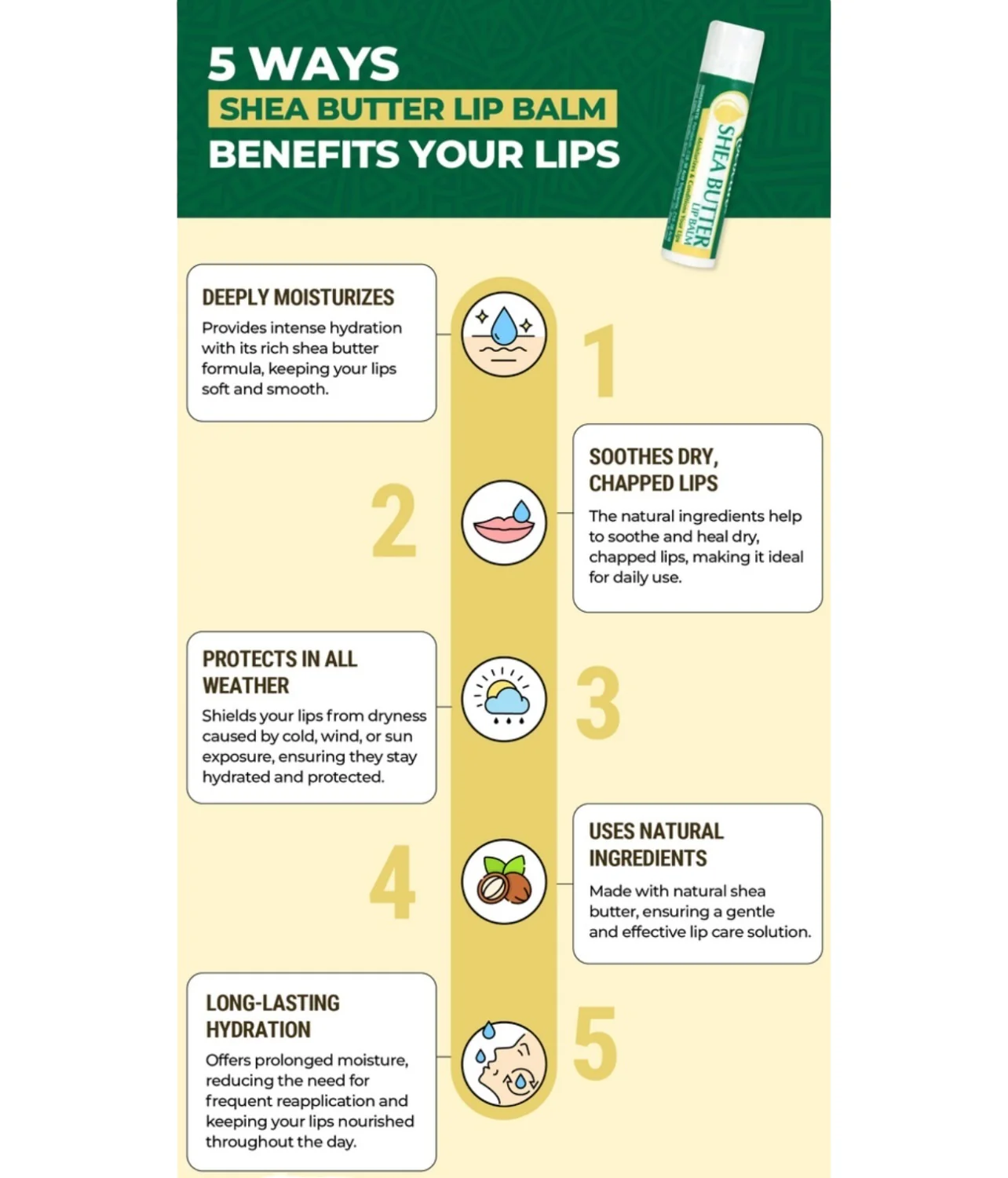 Hydrating Shea Butter Lip Balm - Image 3