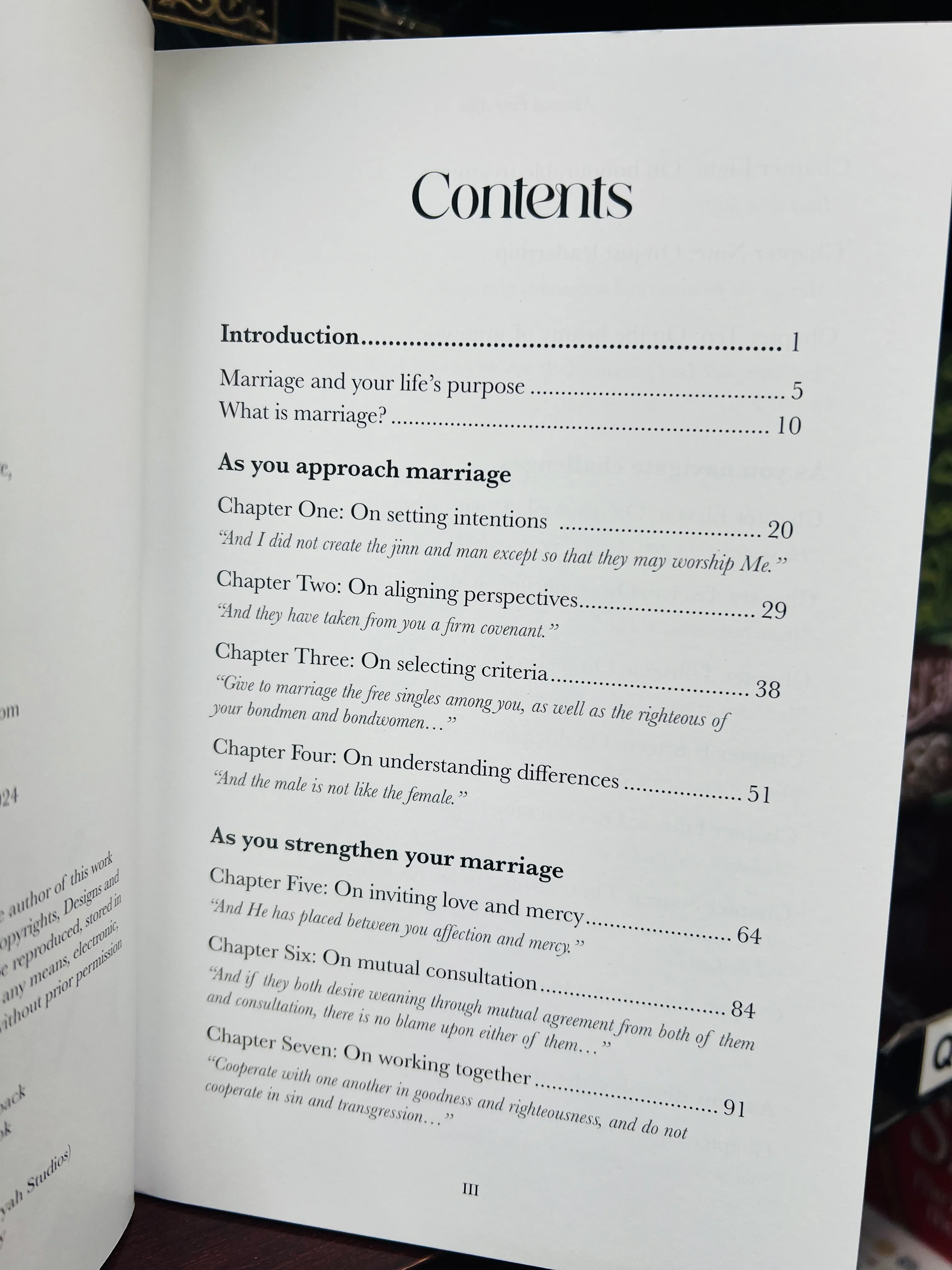 Married Ever After - Image 2