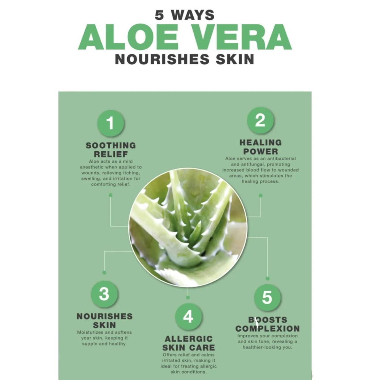 Moisturizing Aloe Vera Skin Healing Oil - 4 oz - Image 3