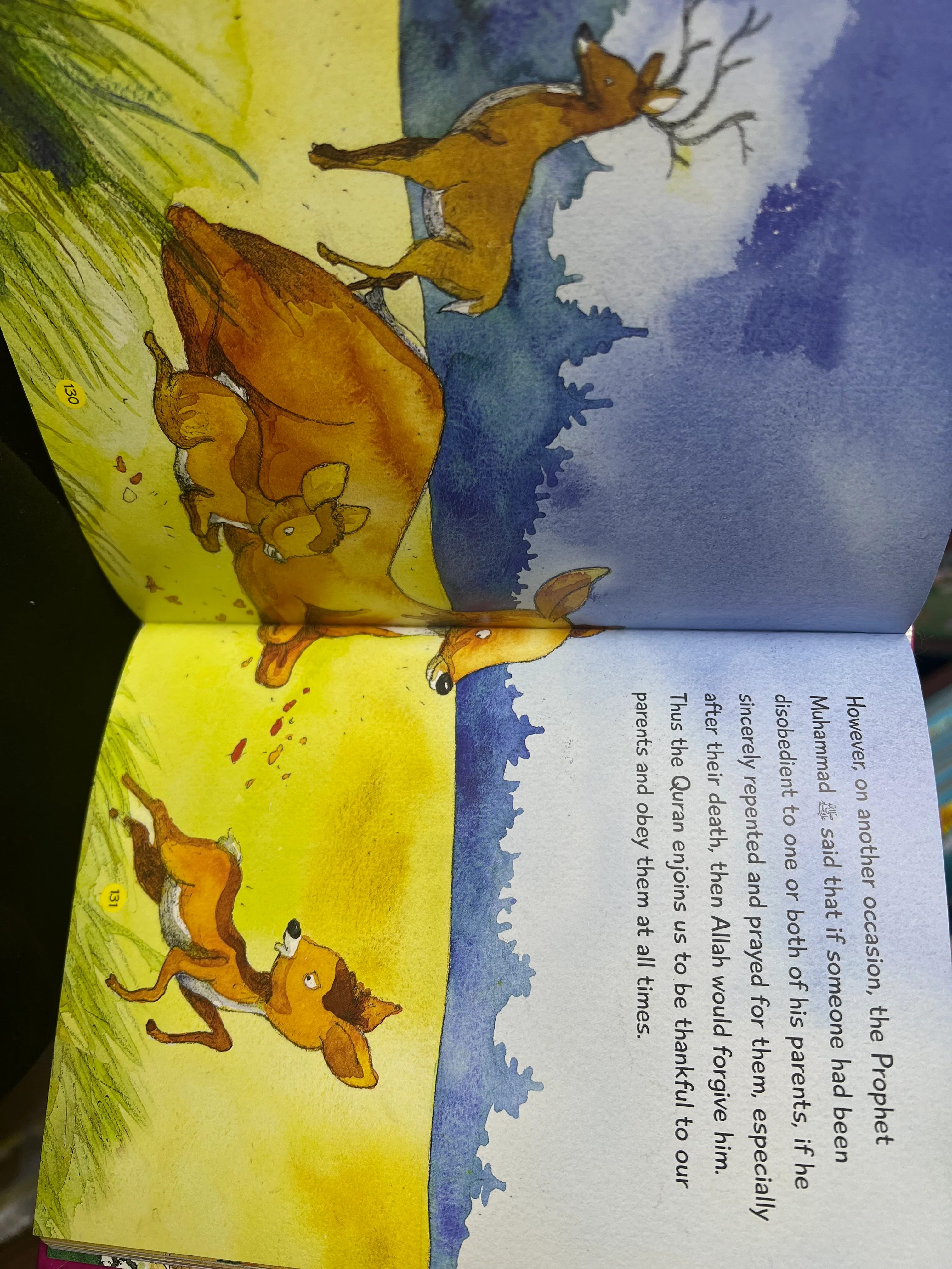 Quran and Seerah Stories (Hardback) - Image 3