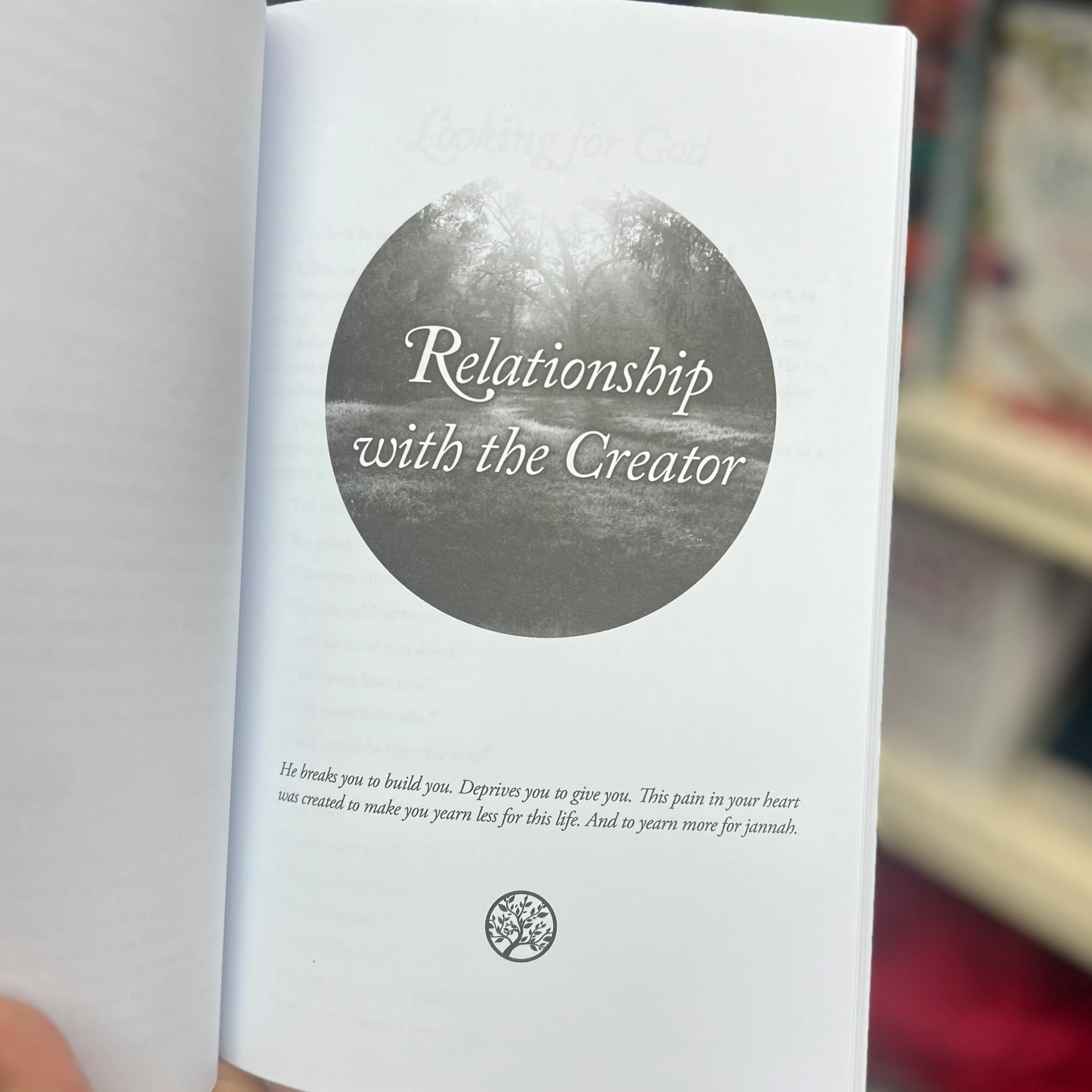 Reclaim your Heart - Personal Insight on Breaking Free from Life’s Shackles by Yasmin Mogahed - Image 3