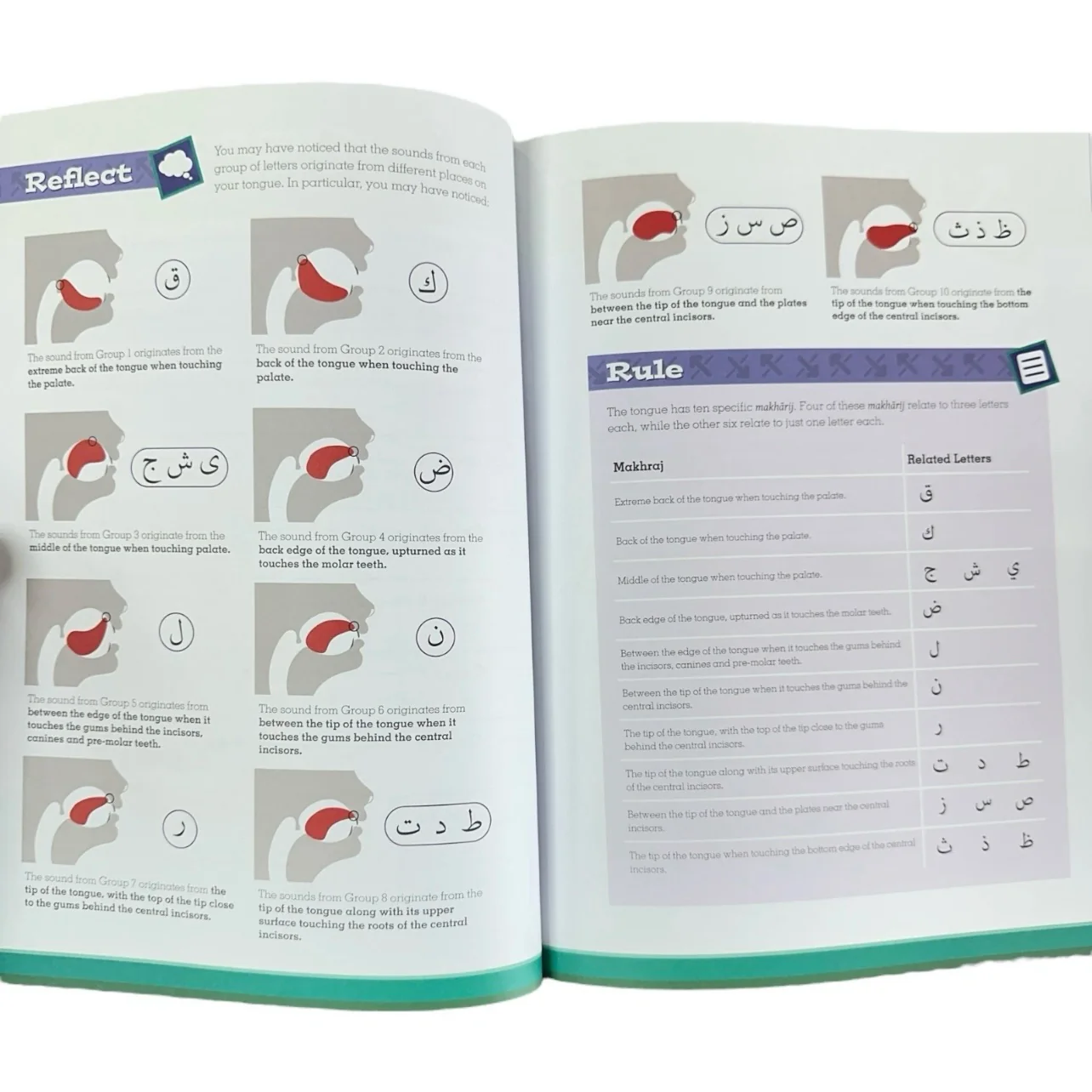 Tajweed Untangled Quran Recitation Pronounce Correctly by Learning Roots for Kids & Adult - Image 5