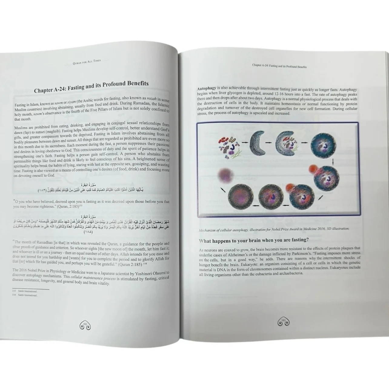 The Clear Signs of the Quran (2 Vol Set) Evidence of Quran's Authenticity HB - Image 9