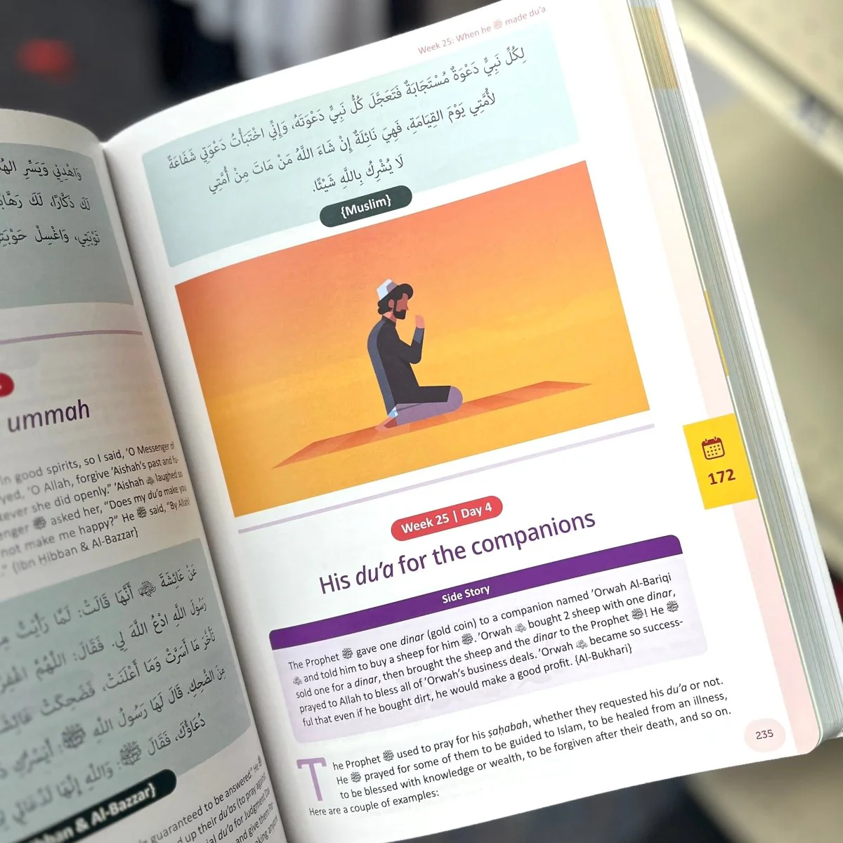The Clear Sirah for KIDS - 365 Days with the Prophet (52 Weekly Themes) - Image 2