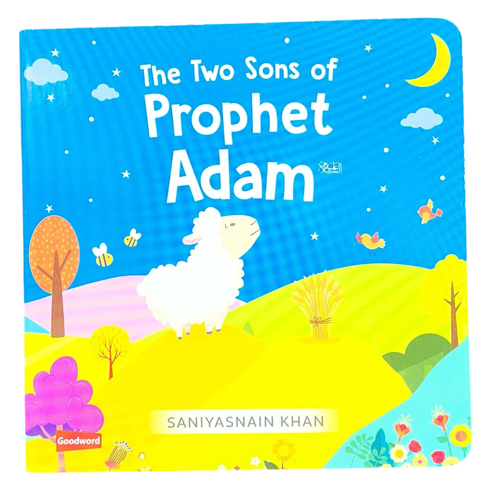The Two Sons of Prophet Adam Board Book