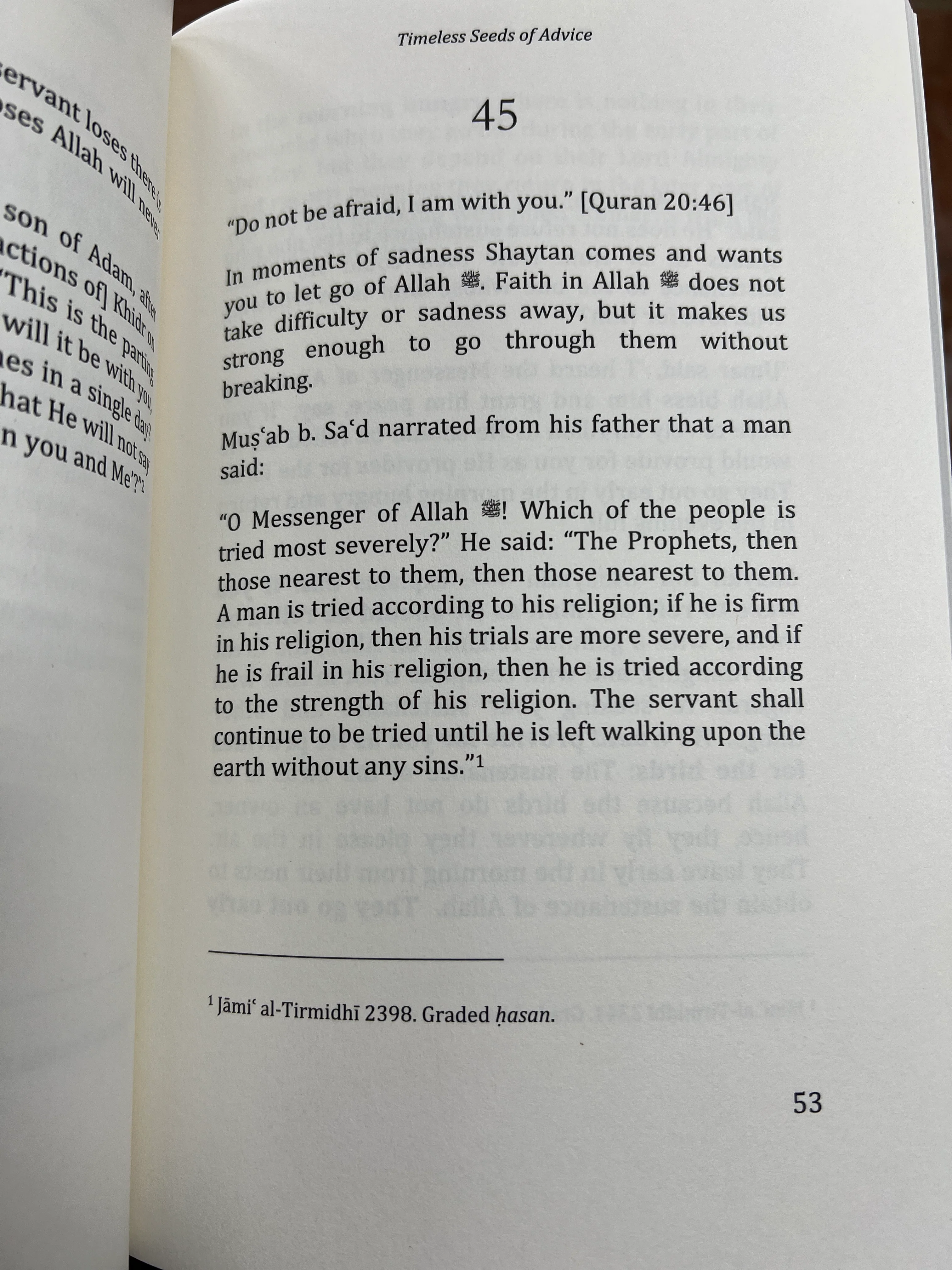 Timeless Seeds of Advice Paperback - Image 3