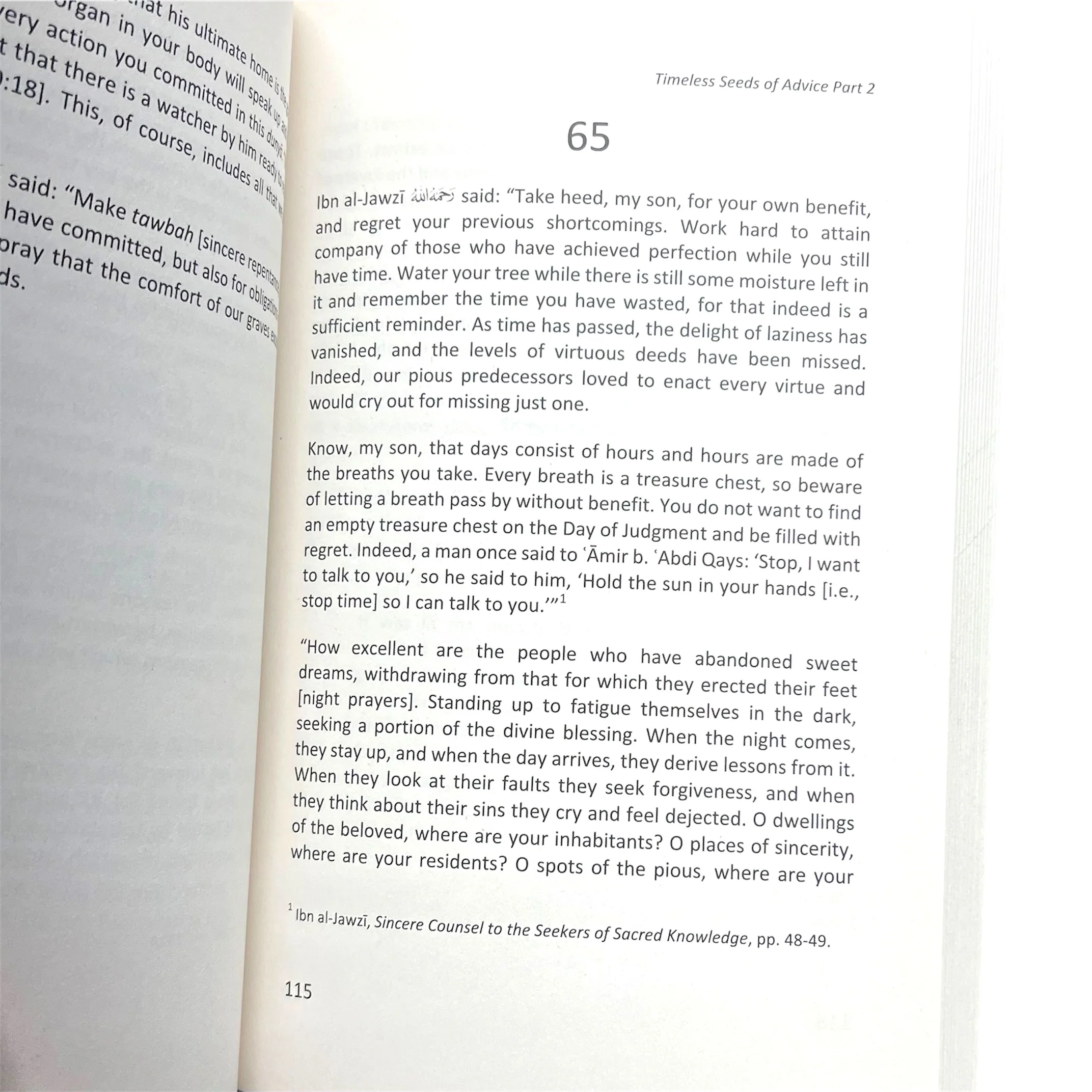 Timeless Seeds of Advice Part 2: Deeper Reflections - Image 2