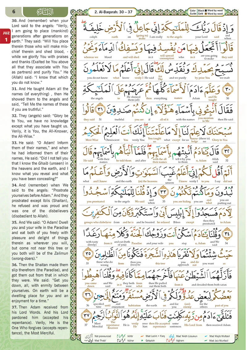 Maqdis Quran Noble Word to Word English Translation Color Coded Tajweed - B5 Medium - Image 3